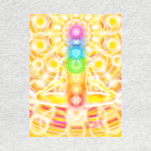 The Power of the Chakra by Alister Lockhart